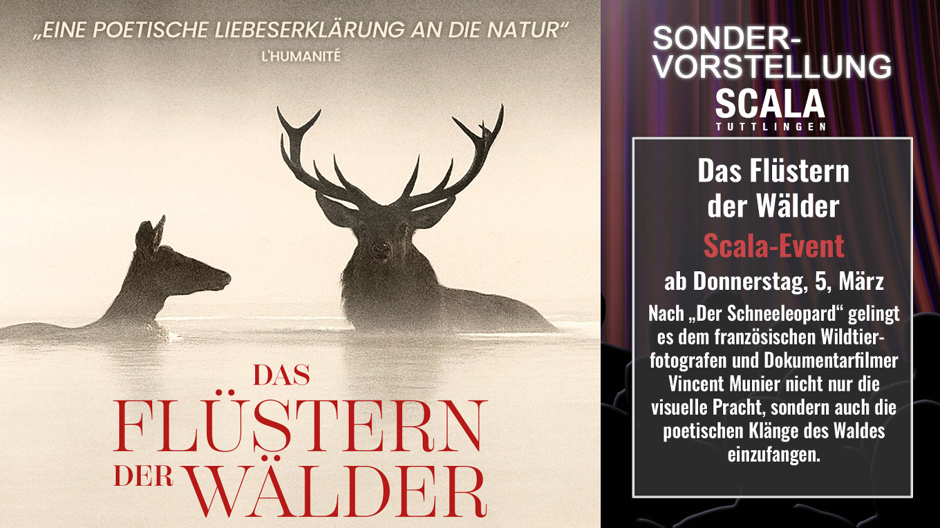 Das Flüstern der Wälder